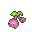 cherubi